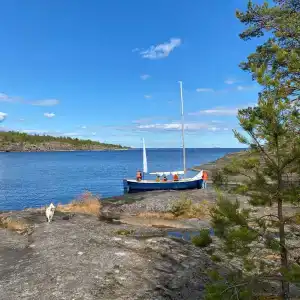 Saari - 14