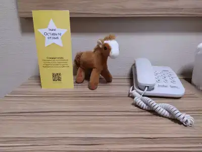 Стандарт - 33