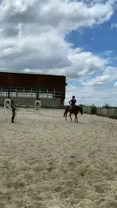 СВХ - 95