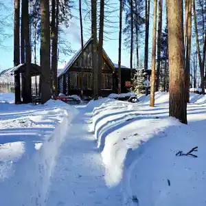СмородинаХаус - 9