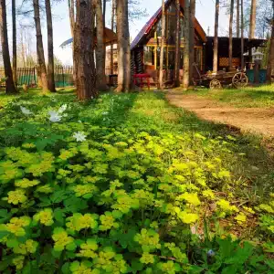 СмородинаХаус - 3