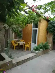Лев на солнце - 0