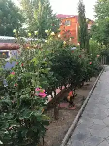 Жемчужина - 28