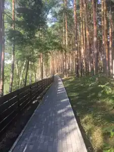 Галдым - 48