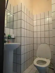 Розмарин - 16