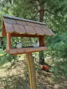 Панковский закуток - 71