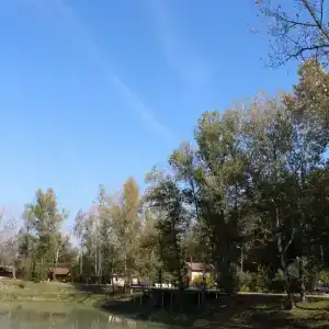 Комарово клуб - 51
