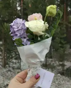 Чайка - 3