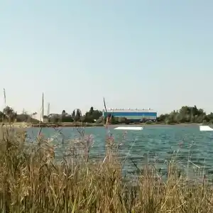 We-wake - 1