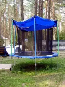 Чайка - 8
