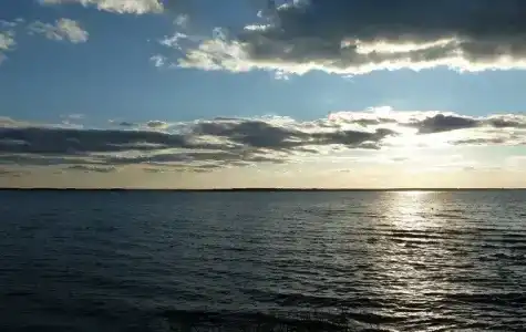 Чайка - 9
