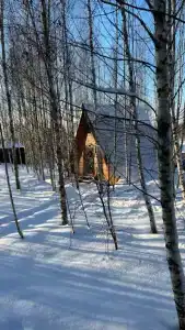 Треугольный домик в лесу с горячей купелью - 29