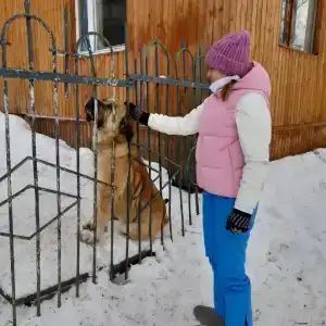 Купец - 11