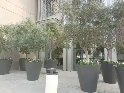 Rove City Centre - 27
