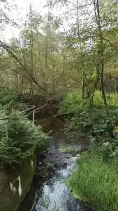 Озёрный - 46