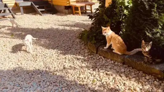 Усадьба Дивноморье - 28