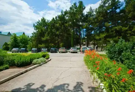 Энергетик - 5