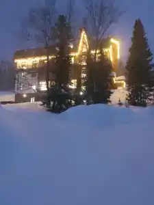 Три совы - 30