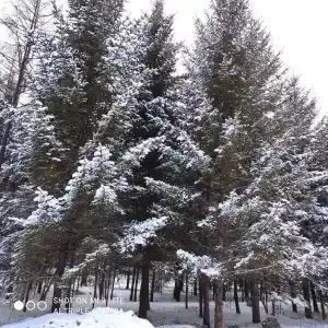 Санаторий Санус - 30