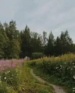 Sky Wood Hills - 18
