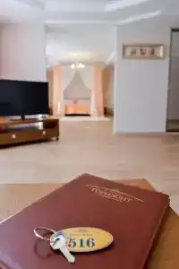 Горизонт - 65