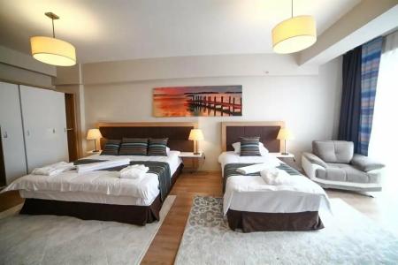 Clarion Golden Horn - 41