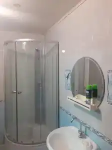 Багира - 4