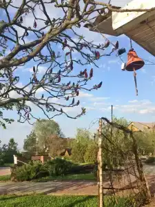 Панский сад - 44