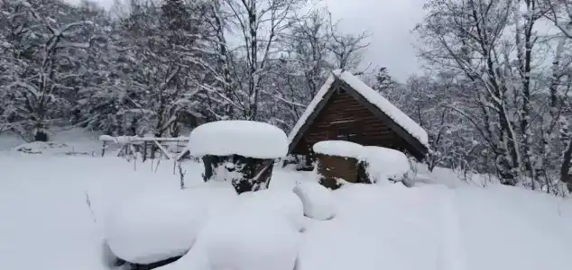 Хрустальный Ручей - 5