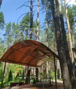 Чайка - 10