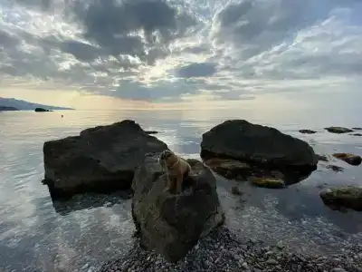 Глубина - 14