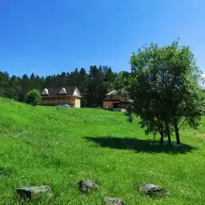 Заимка Отдых Пантовые ванны - 2