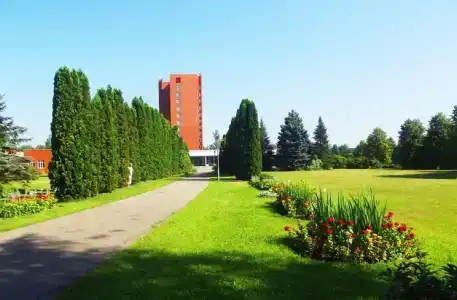 Поляны - 3