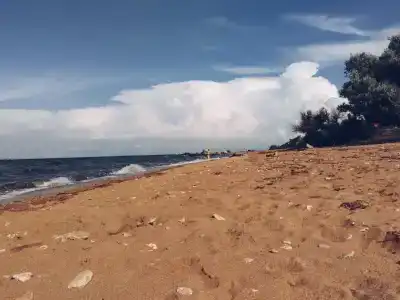 Замок грез - 7