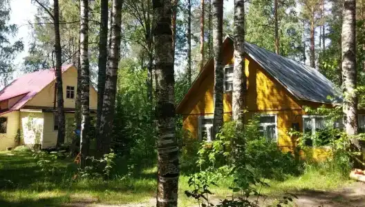 Холодный ручей - 7