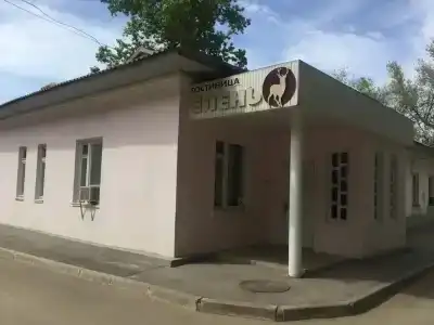 Елень - 8