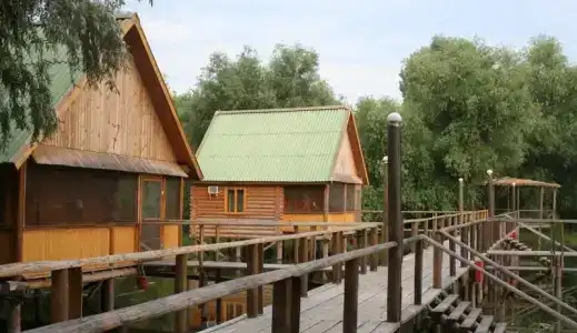 Прокоста - 0