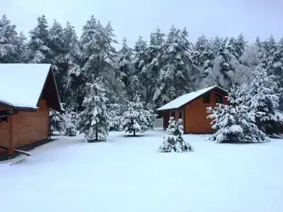 Дыхание Леса - 2