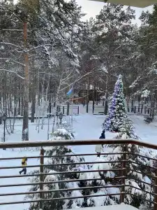 Хвойный - 63