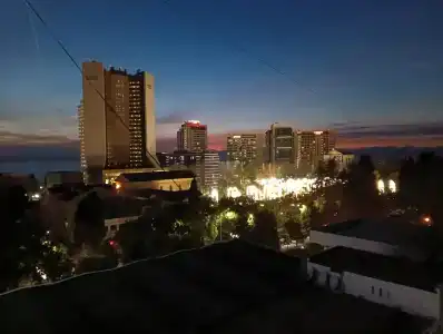 Магнолия - 28