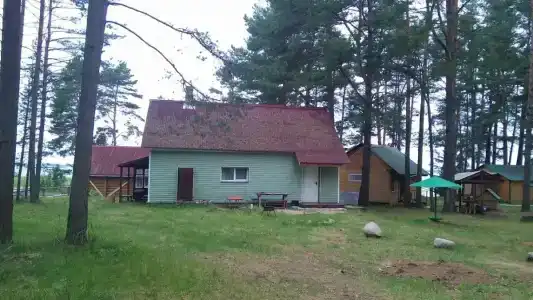 Друг - 62