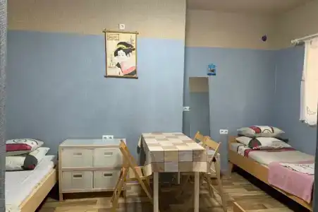 Лев на солнце - 14
