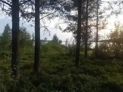 Куйтто - 23