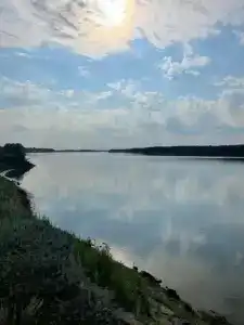 ForestHouse Лесной домик - 33