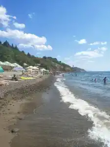 Панорама - 80