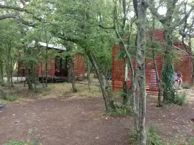 Сосны New - 63