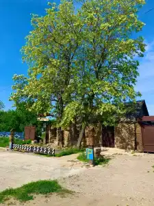 Сельская Усадьба - 13