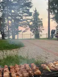 Чайка - 48