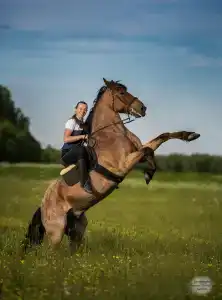 Храброво - 19