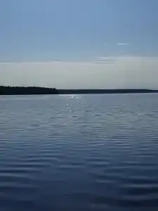 ВК - 56